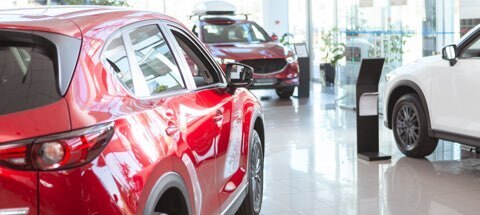 cars in showroom